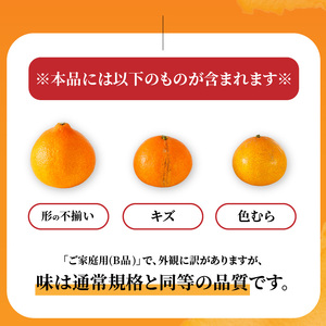 02-10k あいか28号（まどんな）みかん家庭用10キロ 北海道料金 紅まどんなと同品種】 愛果28号 家庭用 2.5kg 【先行予約 2026年11月