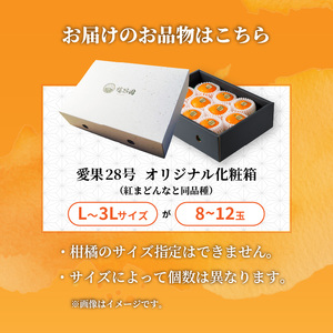 【紅まどんなと同品種】愛果28号 化粧箱 8玉～12玉 まどんな 【2026年11月下旬より順次発送】 【RNK0012】