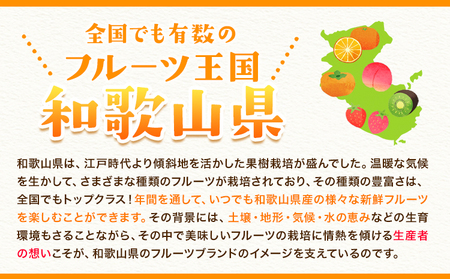 苺 いちご まりひめ【2027年先行予約】 約500g