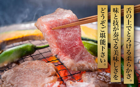 【全3回定期便】【化粧箱入】A5‐A4ランク 博多和牛 厳選セット（計1150g）焼肉たれ・塩胡椒付 [ABCJ117] 
