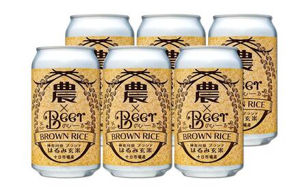 TDM 1874 Brewery　クラフトビール　農×Beer（のびーる）はるみ玄米（350ml×6本）【お酒・地ビール・酒】 ABG0001