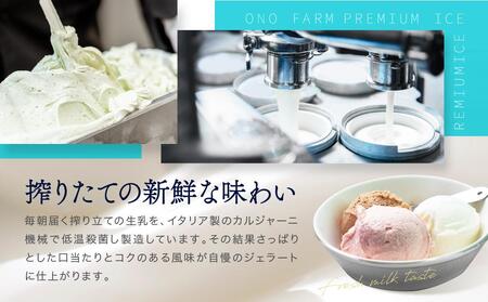 直営牧場搾りたてミルクで作るジェラート（５種 計10個）〈小野ファーム〉 ABN0001