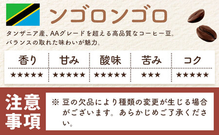 自家焙煎スペシャルティ 珈琲 ドリップバッグ 3種 セット 1箱:ドリップバッグ5個入り AyaHaruCoffee《90日以内に出荷予定(土日祝除く)》【配送不可地域：離島】|ドリップコーヒー ドリップコーヒー ドリップコーヒー
