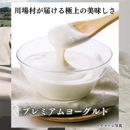 プレミアムヨーグルト350g_卵・乳製品 ヨーグルト  _【配送不可地域：離島】【1026846】