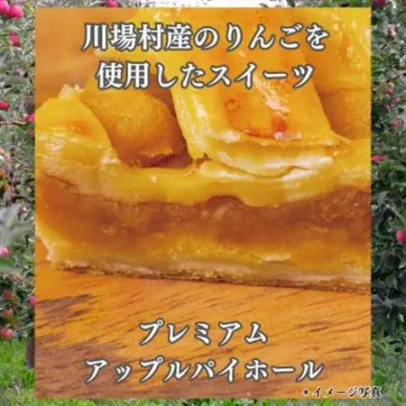 プレミアムアップルパイホール 1台_菓子・スイーツ 焼き菓子  _【配送不可地域：離島】【1131391】