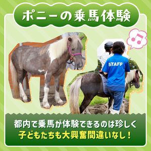 あらかわ遊園フリーパス（大人）４枚【015-004】歴史あるアミューズメントパーク施設 東京 体験型 遊園地 チケット 利用券 子供 キッズ 観光 旅行 親子 家族連れ 東京都 荒川区