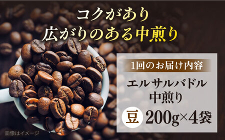 【全6回定期便】コーヒー豆 自家焙煎 中煎り エルサルバドル 200g×4 TSUKIKOYA COFFEE ROASTER ツキコヤ 珈琲 こだわり 横須賀【株式会社RUINS】 [AKAD029]