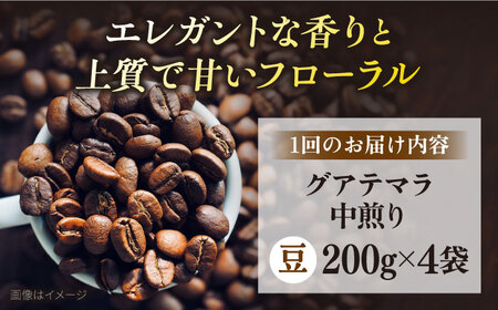 【全3回定期便】コーヒー豆 自家焙煎 中煎り グアテマラ 200g×4 TSUKIKOYA COFFEE ROASTER ツキコヤ 珈琲 こだわり 横須賀【株式会社RUINS】 [AKAD013]