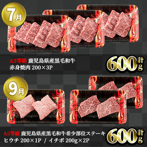＜定期便・全5回＞ 特選 黒毛和牛 定期便 国産 鹿児島県産 【 LRプラスK】T10-v01