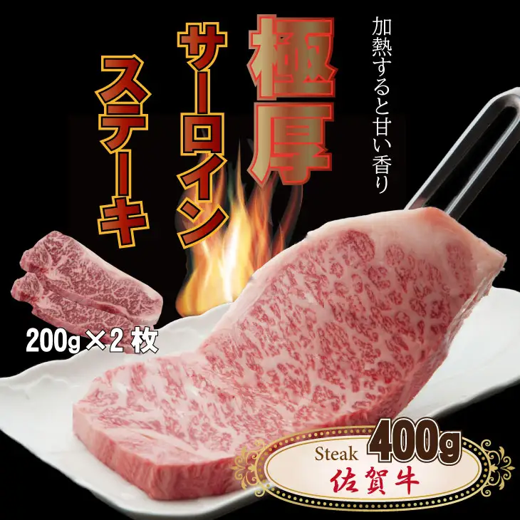 【定期便】 (年6回/奇数月お届け) 佐賀牛隔月6回コース 牛肉 Q100-101