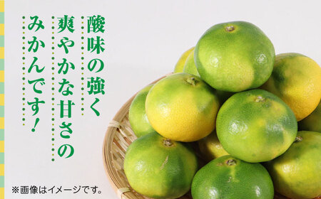 【先行予約】極早生みかん 約7kg　2S〜2Lサイズ　【くまふる】[ZBG055]