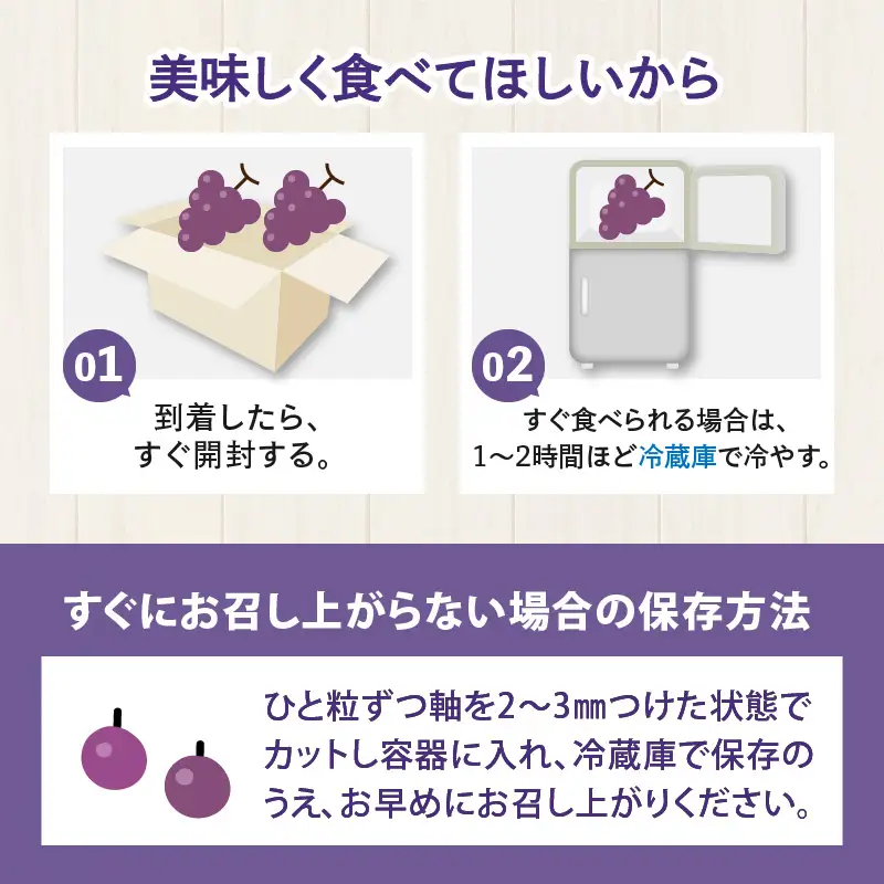 【先行予約】【種なし】【朝採れ】【秀品】上野梨園のナガノパープル 約1kg 農園直送【上野の葡萄】 / ぶどう フルーツ 果物 くだもの 贈答 お土産 種なし 旬 皮ごと食べる ポリフェノール 美容 レスベラトロール ぶどう狩り 巨峰  甘い 大粒 新鮮 濃厚※2026年8月下旬より順次発送 [aw077-a023]