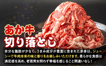 あか牛 切り落とし 1kg 五右衛門フーズ 《60日以内に出荷予定(土日祝除く)》 熊本県 球磨郡 山江村 牛肉 肉 国産 熊本県産 ブランド牛 絶品 贅沢 高級 あか牛
