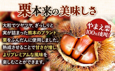 栗の粒 500g RICO DOLCE 《60日以内に出荷予定(土日祝除く)》 熊本県 球磨郡 山江村 スイーツ お菓子 洋菓子 栗 くり トッピング アレンジ 料理