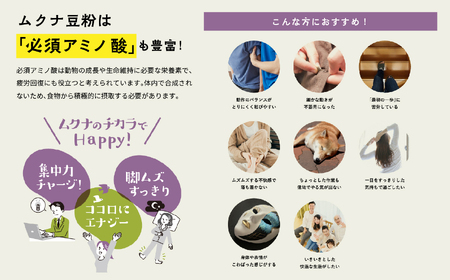 あだたらムクナ豆粉100g×2袋【ADATARAふぁーむ】