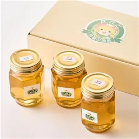 純粋坂戸はちみつ約550g(185g3個)_調味料 はちみつ  ハチミツ 蜂蜜_【1201208】