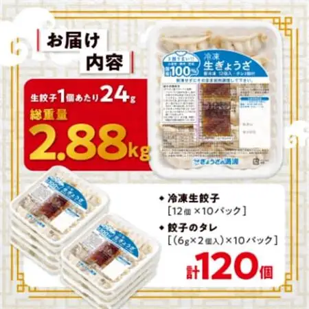 冷凍生餃子10パック(120個)　ぎょうざの満洲_冷凍 生餃子 ぎょうざの満洲_【配送不可地域：離島】【1238201】