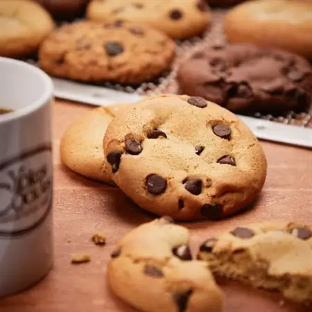 【Yoko's Cookies】ソフトなアメリカンクッキー100枚BOX(人気4種入)_菓子・スイーツ クッキー  _【1244117】