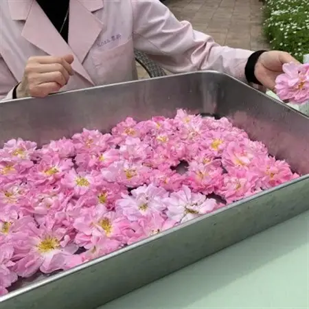 薔薇香る乳液(オールドローズミルクローション)蓼科高原産ローズ水を贅沢配合!_美容 化粧水・乳液・美容液 スキンケア _【1416287】