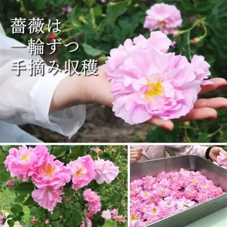 飲むローズ水30本セット(長野県蓼科高原からお届けします)_惣菜・加工品     美容   _【1416292】