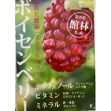 ボイセンベリードリンク 2本セット_飲料・ドリンク 果汁飲料  _【1338625】