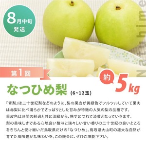DS-23 梨食べ比べ定期便（2回コース）