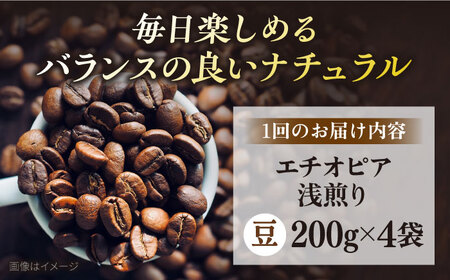 【全12回定期便】コーヒー豆 自家焙煎 浅煎り エチオピア 200g×4 TSUKIKOYA COFFEE ROASTER ツキコヤ 珈琲 こだわり 横須賀【株式会社RUINS】 [AKAD009]