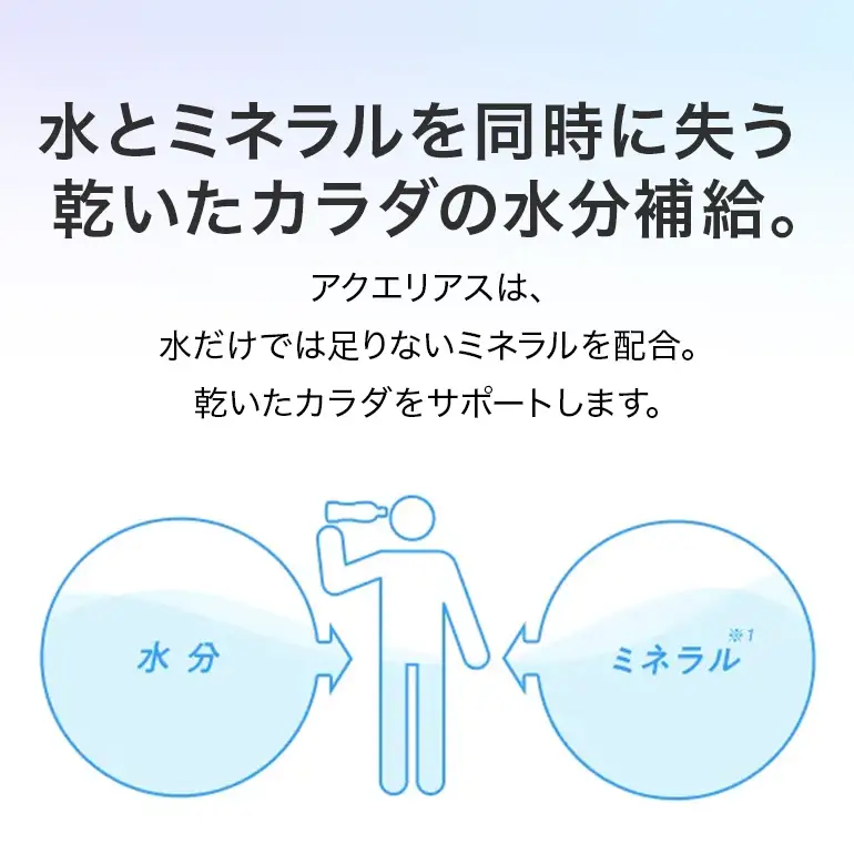 アクエリアス　500ml×24本｜アクエリアス AY12