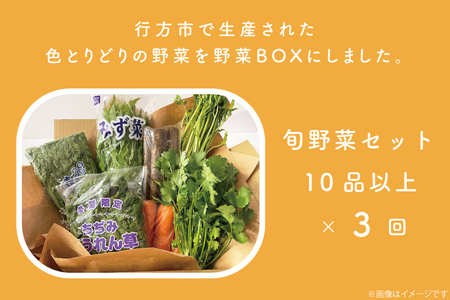 CU-128　【3ヶ月定期便】野菜王国なめがたの旬野菜の定期便