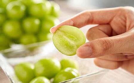 【先行予約 2026年度発送】数量限定 【山形県秋の味覚】シャインマスカット 1kg 2～3房 マスカット ぶどう ブドウ 葡萄 デザート フルーツ 果物 くだもの 果実 食品 山形県 FSY-0803