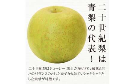 FKP9-685 【先行予約】二十世紀梨（廿世紀梨）約5kg