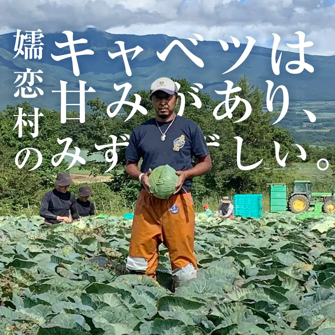 ＜レビューキャンペーン開催中＞【7月中旬発送開始】 嬬恋キャベツ  嬬恋産 高原キャベツ4玉1ケース Lサイズ 先行予約 2026年発送 [AS002tu]