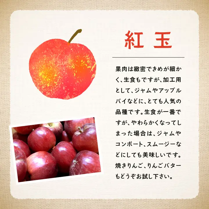 《2026年10月中旬以降順次発送》羽山のりんご 紅玉 5kg【羽山果樹組合】