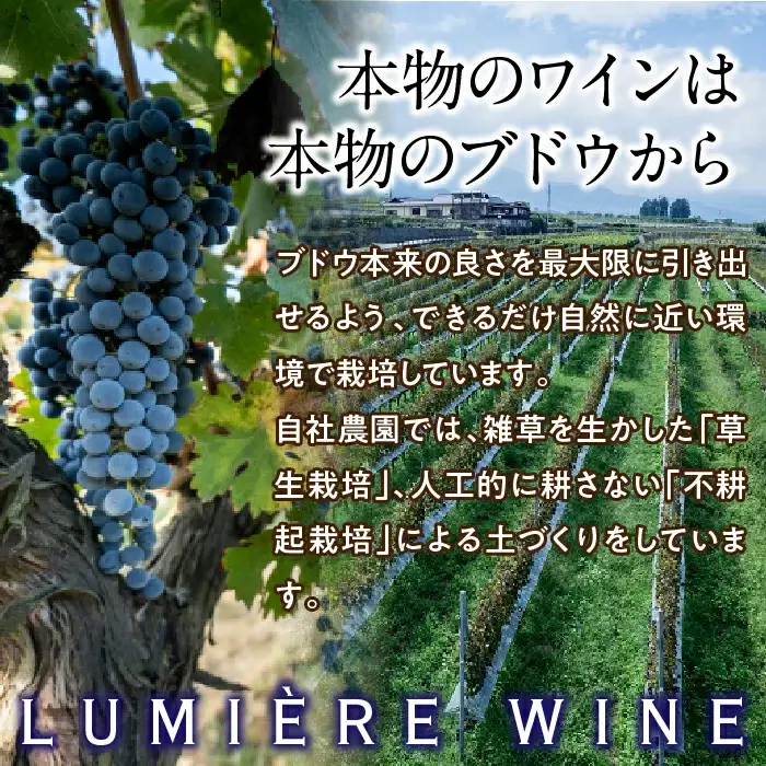 ルミエール ～ワイン定期便フルコース～ 063-005