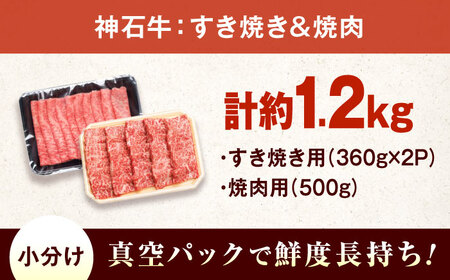 黒毛和牛 ロースすき焼き用360g×2+焼肉用500g[BACT012]すき焼き