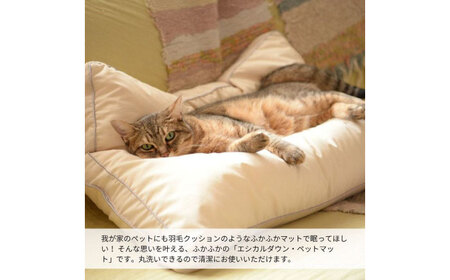ペット用 洗えるマット[BAAK048]ペット用品