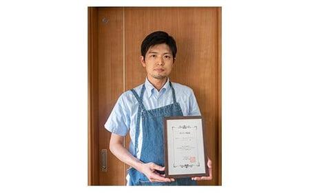 ラペルピン 福山城歴代藩主 ＜家紋A：水野家＞ [BAAU004]ラペルピン