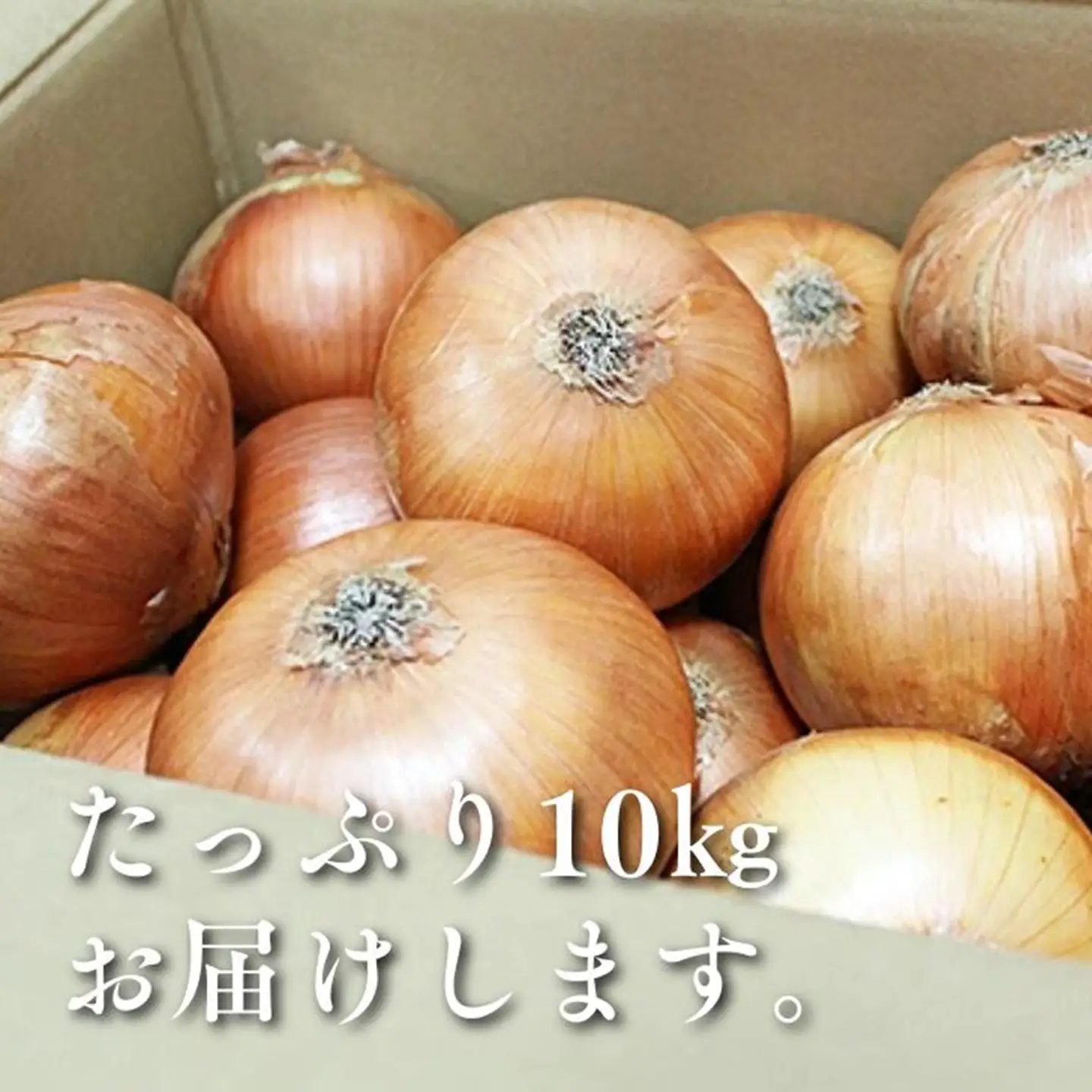 【期間限定】佐賀県産 たまねぎ 10kg 旬 佐賀県 佐賀市 玉ねぎ：A085-059
