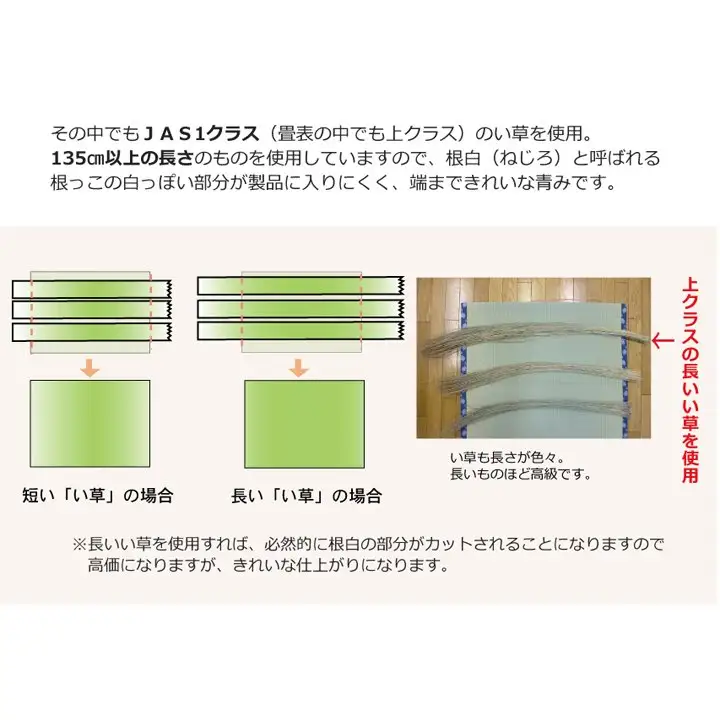 い草上敷き【清正】江戸間6畳