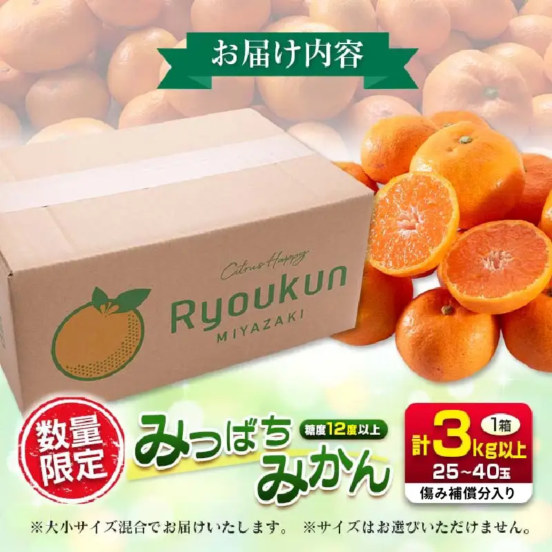 先行予約 みつばちみかん 計3kg以上 傷み補償分入り 期間限定 数量限定 果物 くだもの フルーツ 蜜柑 ミカン 柑橘 オレンジ_AAV9-25