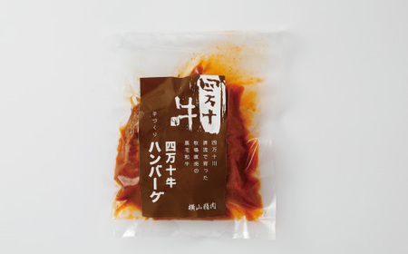 26-400．幻のメス牛 四万十牛100％使用ジューシーな煮込みハンバーグ5個