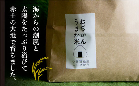 【令和7年度産】おぢかんうまか米 小値賀町産コシヒカリ 3kg 精白米 コシヒカリ [DAB010] 