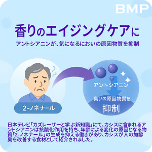 BMP カシスパウダー1kg（100g×10袋）（カシス濃縮果汁粉末）
