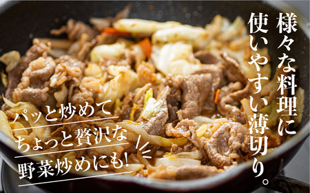 〈訳あり〉国産牛 切落し 900g 渥美半島 田原牛 スライス うす切り 牛肉 肉 きりおとし 牛丼 カレー ビーフシチュー に お取り寄せ お取り寄せグルメ 切落し ふぞろい 訳アリ わけあり ワケアリ 不揃い 