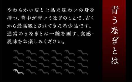 最高級 特上 幻の青うなぎ 3尾 うなぎ 白焼 