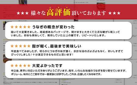 最高級 特上 幻の青うなぎ 6尾 うなぎ