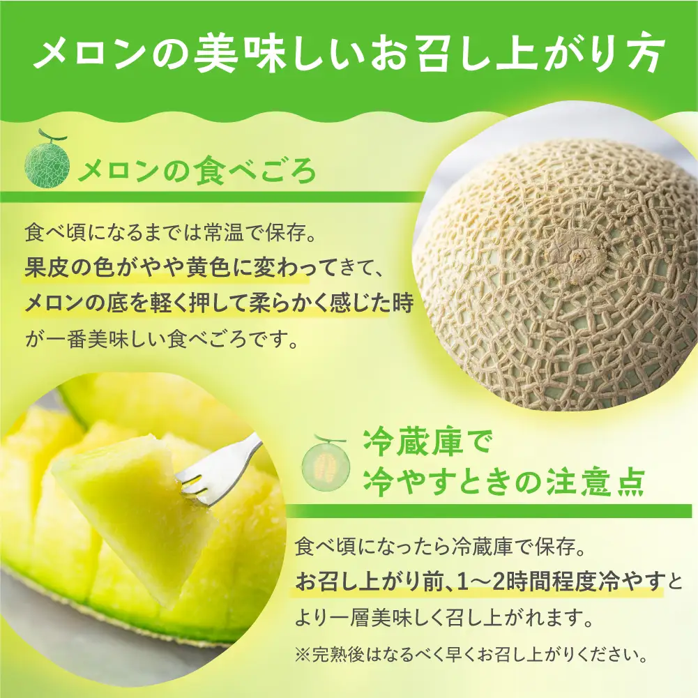 【先行予約-6月中旬～発送】マスクメロン 2玉 メロン マルカベジフル 