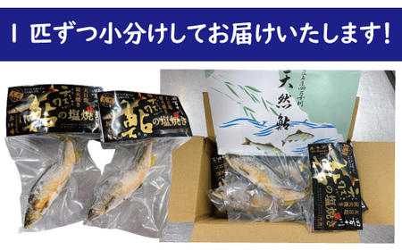 26-838．炭火でじっくり焼いた四万十川天然鮎の塩焼き(3～4匹)