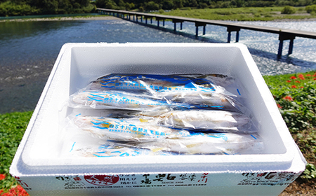 26-775．四万十川の天然鮎(小)500ｇ(約6～9匹)