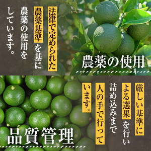 ＜先行予約受付中！2026年11月上旬以降順次発送予定＞完熟かぼす(約4kg)かんきつ 柑橘 期間限定 おもとの丘【111300401】【未来農林】